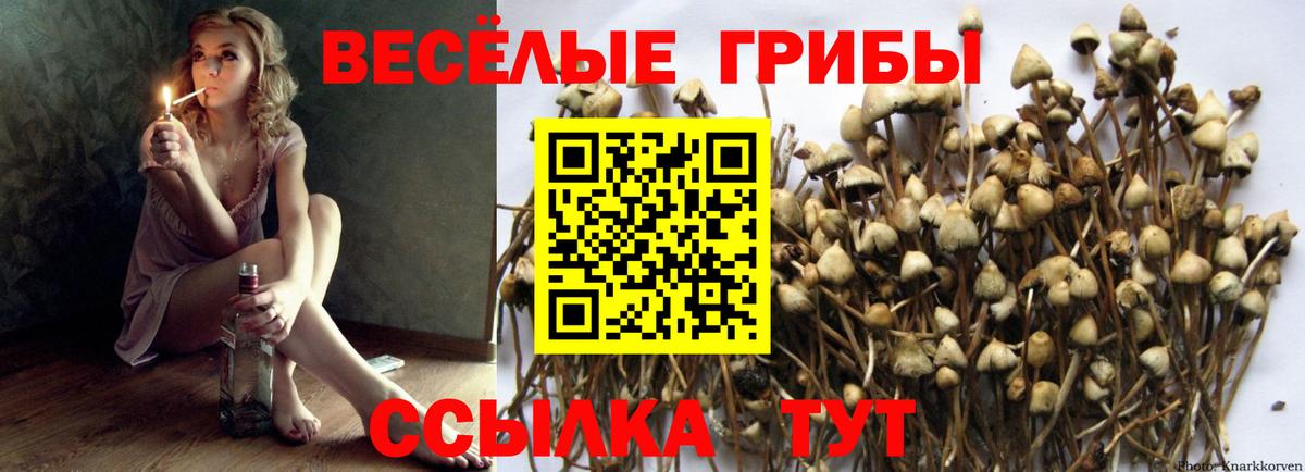 Галлюциногенные грибы Psilocybine cubensis  Вход с VPN  Псилоцибиновые грибы Magic Shrooms  купить наркотик  Ступино 